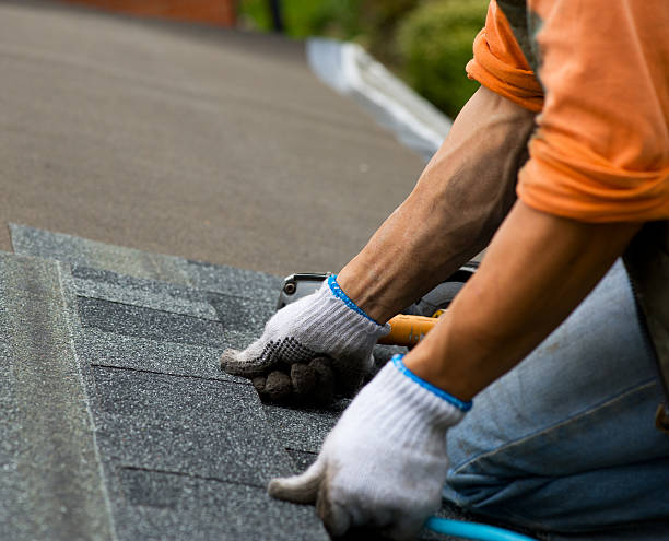 Best Gutter Installation and Roofing  in Blackwater, AZ